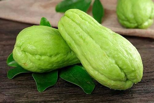 养居吃瓜无忧,打造舒适悠闲的日常时光