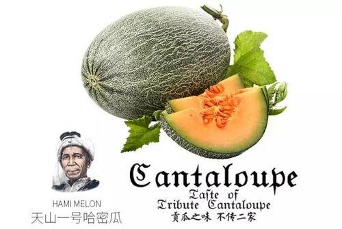 推荐几个吃瓜群