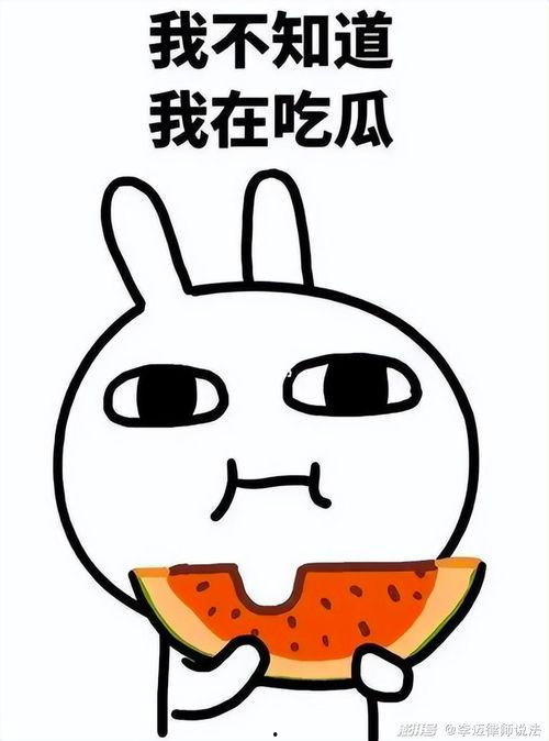 瓜瓜吃瓜的角色,揭秘娱乐圈幕后真相的“吃瓜群众”