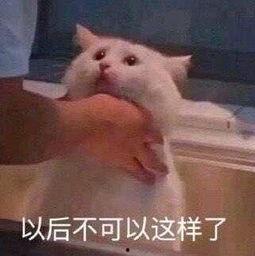 61吃瓜朝阳群众