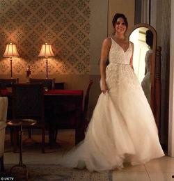 一诺婚纱吃瓜,揭秘娱乐圈的甜蜜瓜田