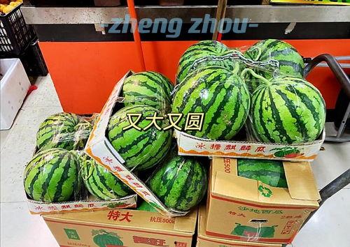 郑州升达 吃瓜,揭秘校园“吃瓜”文化背后的故事