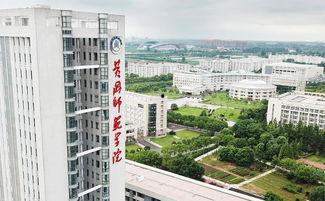 黄冈师范学院吃瓜,一场校园“吃瓜”事件的背后