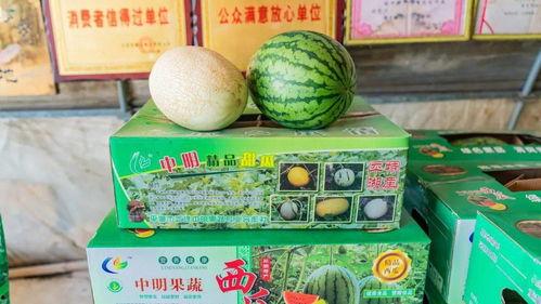 吃瓜礼盒,品味夏日清凉，畅享瓜果盛宴