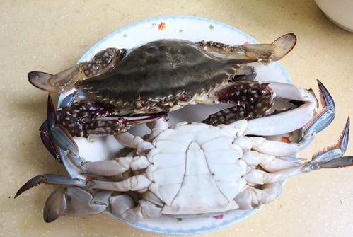 吃瓜的飞蟹,揭秘海鲜界的“网红”美食传奇