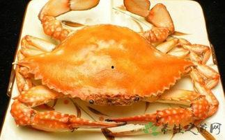 吃瓜的飞蟹,揭秘海鲜界的“网红”美食传奇