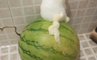 泡泡吃瓜黑料,泡泡吃瓜，黑料背后的真相