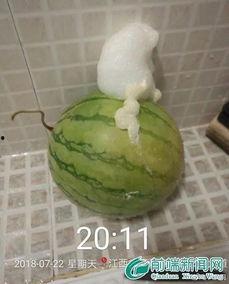 泡泡吃瓜黑料,泡泡吃瓜，黑料背后的真相