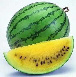 别打名字吃瓜,揭秘“别打名字”背后的吃瓜故事