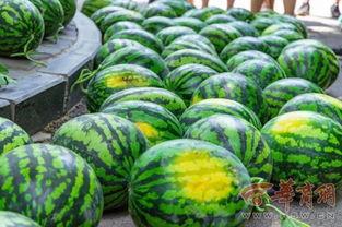 别打名字吃瓜,揭秘“别打名字”背后的吃瓜故事