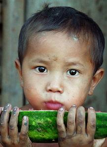 吃315的瓜,吃瓜群众如何辨别食品安全真伪