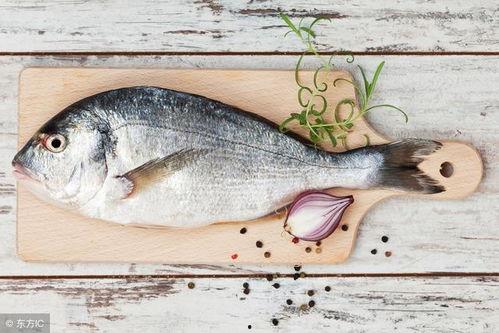 吃瓜鱼律律,揭秘娱乐圈的幕后故事