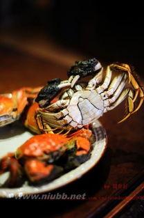 蟹瓜怎么吃最好,解锁最佳食用技巧