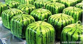 英国50吃瓜,吃瓜群众视角下的时代变迁