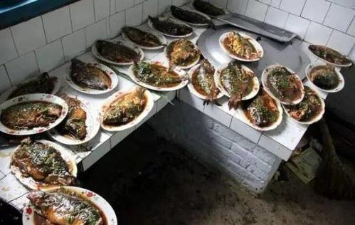 带你吃瓜硬菜,一场美食与文化的盛宴