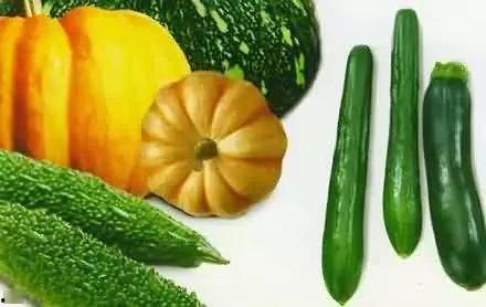 珠村吃瓜,揭秘乡村里的欢乐时光