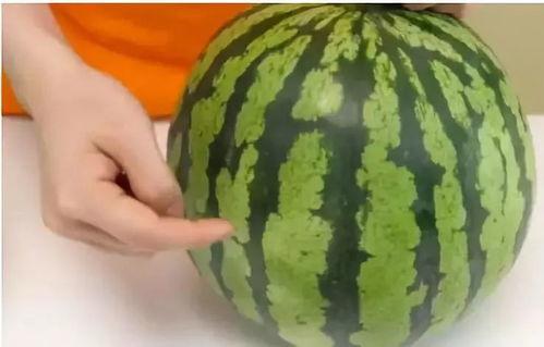 吃瓜做错了什么,揭秘吃瓜背后的风险与教训