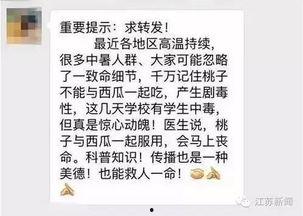 吃瓜小孩和桃子成语