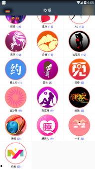 吃瓜盒子卡密,解锁美食之旅的神秘钥匙