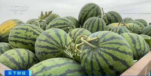 混网吃瓜,揭秘网络舆论场的趣味与争议