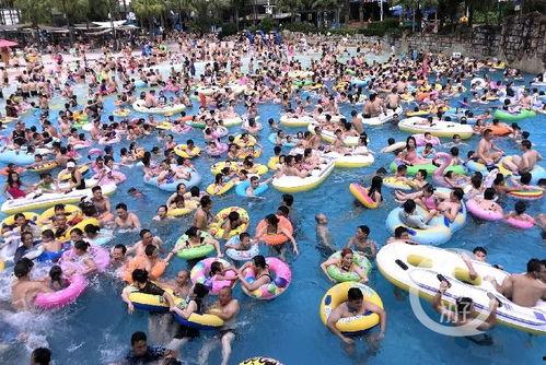 边游泳边吃瓜,品味瓜香——边游泳边吃瓜的夏日悠闲时光