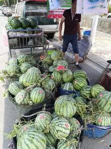 滕州吃瓜事件真相,揭开真相背后的曲折与反思