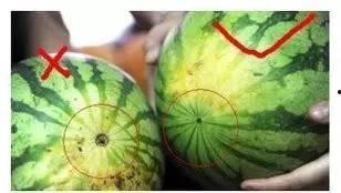 老北京吃瓜技巧,品味传统美食的独特技巧