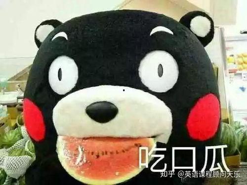 吃瓜落的意思,揭秘娱乐圈幕后真相