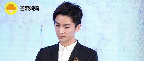 娱乐吃瓜陈晓,揭秘明星背后的故事