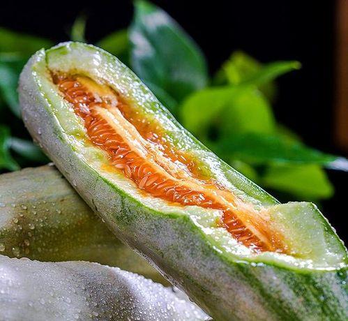 吃瓜甜种瓜累,揭秘瓜农的甜蜜与辛酸