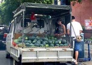 邵阳吃瓜事件,一场引发社会热议的街头冲突事件