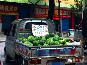 邵阳吃瓜事件,一场引发社会热议的街头冲突事件