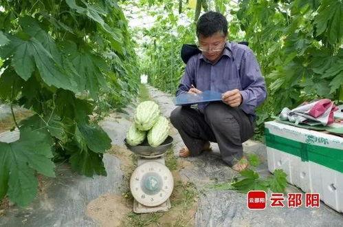 邵阳吃瓜事件,一场引发社会热议的街头冲突事件