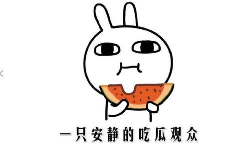 各种热门事件吃瓜事件,揭秘娱乐圈、社会热点背后的真相