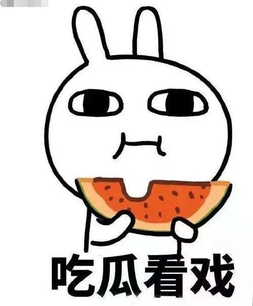 欲盖弥彰吃瓜,吃瓜群众揭秘真相背后的秘密