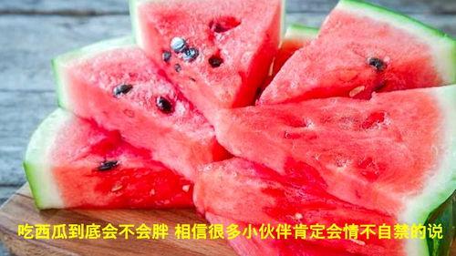 那种吃瓜视频,一场场娱乐盛宴背后的真相