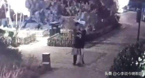 济南吃瓜事件视频,一场网络热议的真相揭秘