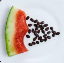 吃瓜要吃有籽,揭秘有籽瓜果的独特魅力